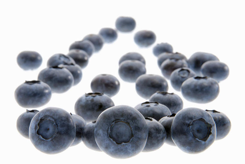 无人,横图,俯视,室内,特写,白天,白色背景,浆果,蓝莓,水果,许多,大量,阴影,新鲜,反射,影子,生食,食品,果实,食物,摄影,有机食品,绿色食品,影棚,山都柿,蓝浆果,蓝靛果,彩图,高角度拍摄,影棚拍摄,拍摄