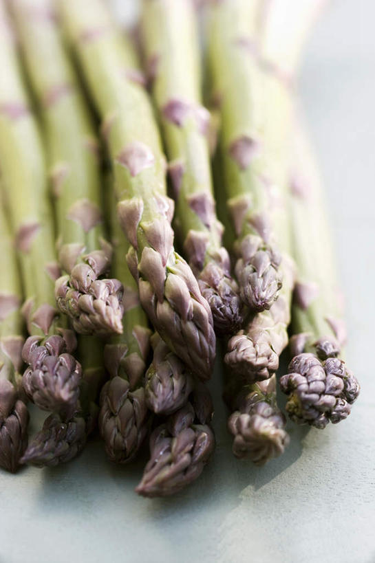 无人,竖图,俯视,室内,特写,白天,白色背景,植物,芦笋,蔬菜,一堆,许多,大量,堆叠,堆积,朦胧,模糊,新鲜,食品,食物,绿色,自然,摄影,有机食品,绿色食品,影棚,堆,猪尾巴,药鸡豆子,石刁柏,蚂蚁杆,龙须菜,狼尾巴根,彩图,高角度拍摄,影棚拍摄,拍摄