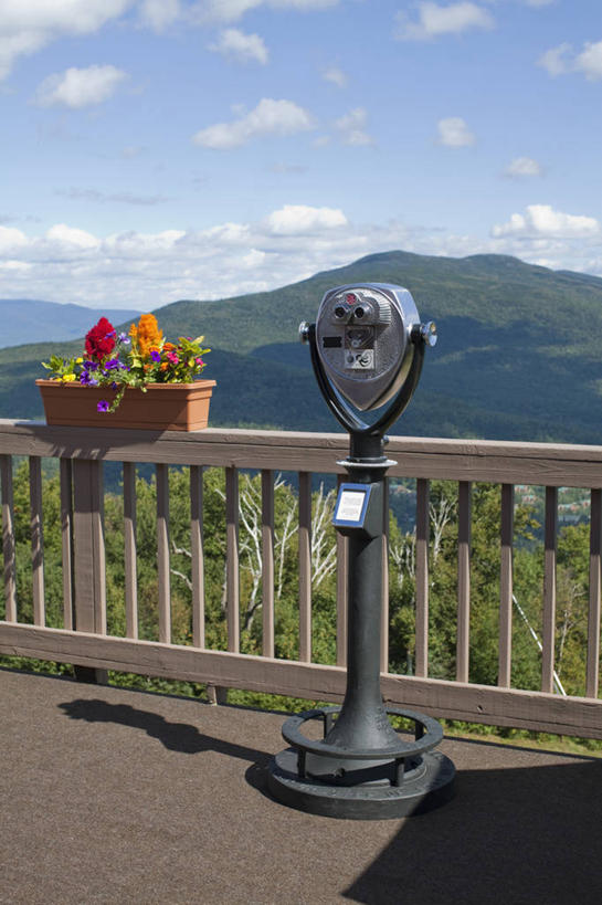 无人,公园,栏杆,竖图,室外,白天,正面,旅游,度假,仪器,科技,美景,森林,山,山脉,树林,植物,美国,眺望,阴影,检查,研究,盛开,反射,分析,光线,科学,望远镜,影子,景观,山峰,云,云朵,围栏,山峦,花蕾,云彩,娱乐,护栏,花,花瓣,花朵,鲜花,树,树木,蓝色,绿色,白云,蓝天,天空,阳光,自然,群山,天,花苞,花蕊,观察,享受,休闲,景色,放松,清晰,探索,生长,放大,晴朗,成长,观看,仔细,科研,科学技术,北美,北美洲,国家公园,瞭望,聚焦,关注,自然风光,美洲,远视镜,瞭望镜,新罕布什尔州,光学,北亚美利加洲,亚美利加洲,清楚,新罕布什尔,新罕布夏州,花岗岩州,花冈岩之州,滑雪之州,白山国家森林公园,白山国家森林,晴空,彩图,投币式望远镜,光学仪器,千里镜