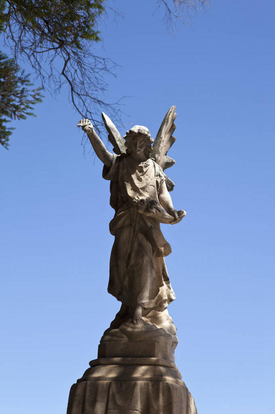 西方人,一个人,无人,站,竖图,室外,特写,白天,仰视,旅游,度假,植物,标志建筑,地标,建筑,雕塑,欧洲,澳大利亚,欧洲人,仅一个年轻女性,仅一个女性,仅一个人,天使,阴影,艺术,装饰,光线,翅膀,雕刻,雕像,影子,注视,娱乐,建设,树,树木,蓝色,绿色,蓝天,天空,阳光,自然,工艺品,天,观察,看,站着,享受,休闲,旅游胜地,放松,生长,晴朗,成长,观看,纪念,美术,察看,神圣,关注,主题,善良,大洋洲,澳洲,陈列,信徒,万里无云,南方大陆,首府,功能,美学,澳大利亚联邦,使者,阿德莱德,南澳大利亚,南澳大利亚州,圣洁,年轻女性,女人,女性,白种人,晴空,晴空万里,站立,彩图,低角度拍摄,全身