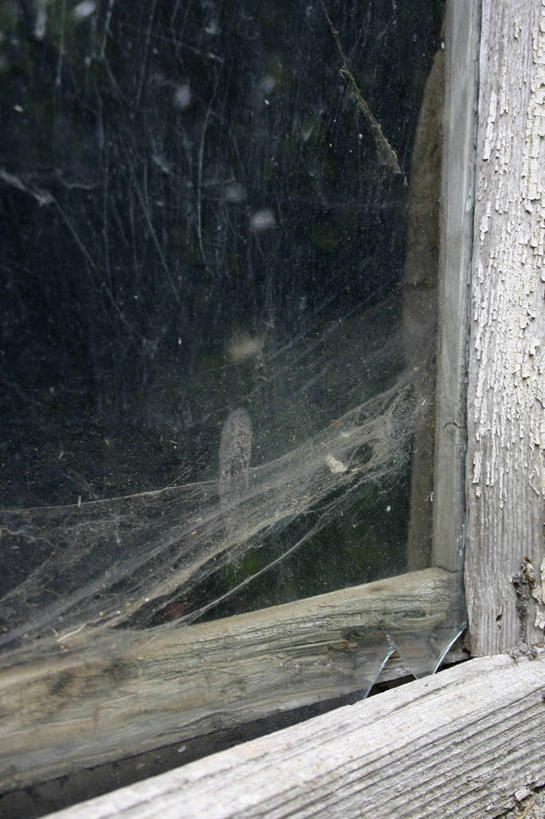 无人,竖图,室内,特写,白天,正面,窗户,静物,蜘蛛网,网,破坏,破损,玻璃窗,肮脏,损坏,蜘蛛丝,丢弃,抛弃,邋遢,蛛网,龌龊,污秽,遗弃,摈弃,扔掉,扔弃,甩掉,扬弃,捕杀,猎取,蛛丝,彩图