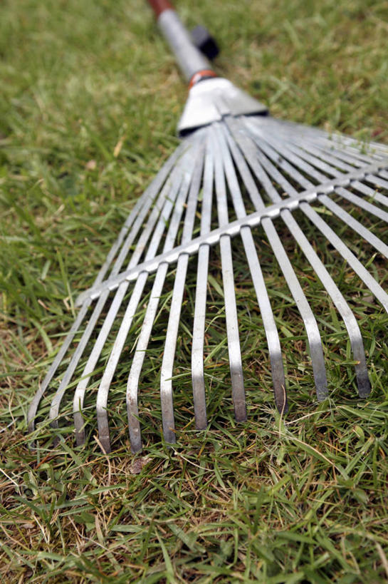 无人,竖图,俯视,室外,特写,白天,草地,草坪,美景,植物,金属制品,金属,工具,景观,草,一个,绿色,自然,景色,单个,耙子,自然风光,丢弃,农具,抛弃,耕具,遗弃,摈弃,扔掉,扔弃,甩掉,扬弃,彩图,高角度拍摄