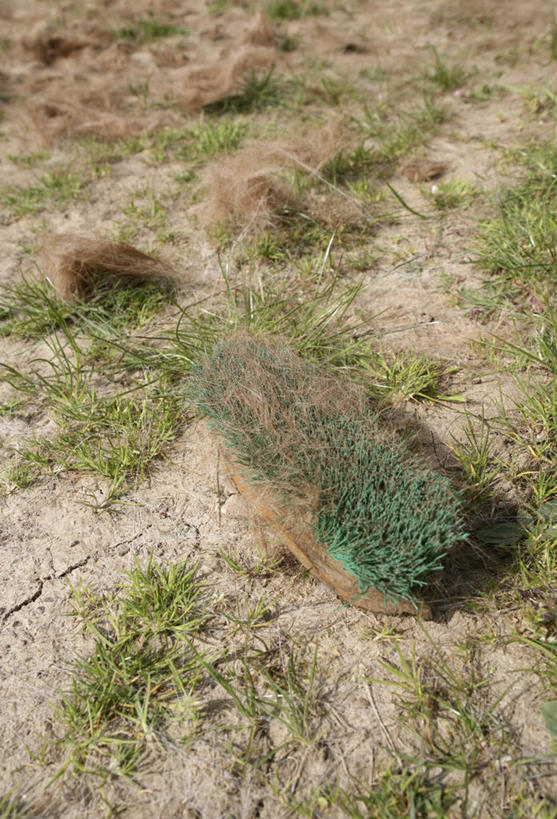 无人,竖图,俯视,室外,特写,白天,草地,草坪,美景,植物,阴影,光线,工具,影子,景观,草,一个,绿色,阳光,自然,刷子,景色,单个,清洁用具,自然风光,丢弃,抛弃,遗弃,摈弃,扔掉,扔弃,甩掉,扬弃,彩图,高角度拍摄