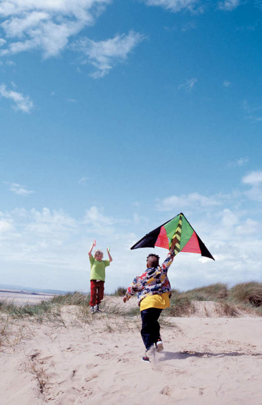 西方人,儿童,背部,两个人,伙伴,朋友,站,跑,举,笑,微笑,露齿笑,竖图,室外,白天,正面,友谊,纯洁,草地,沙滩,植物,欧洲,欧洲人,握,阴影,服装,光线,沙子,影子,地平线,海岸,云,云朵,辽阔,地面,沙地,拿,云彩,拿着,注视,休闲装,草,小孩,衣服,蓝色,绿色,白云,蓝天,天空,阳光,风筝,天,观察,看,托,站着,休闲,广阔,休闲服,可爱,童年,童趣,放风筝,握着,服饰,晴朗,观看,一望无际,察看,纸鸢,关注,延伸,童真,烂漫,无邪,放鹞子,鹞,鹞子,鸢,木鸢,天地相交,无边无际,一马平川,天真,友情,男孩,男人,男性,白种人,海滩,晴空,举起,举手,举着,向上举,向上伸,向上托,站立,彩图,全身,男生