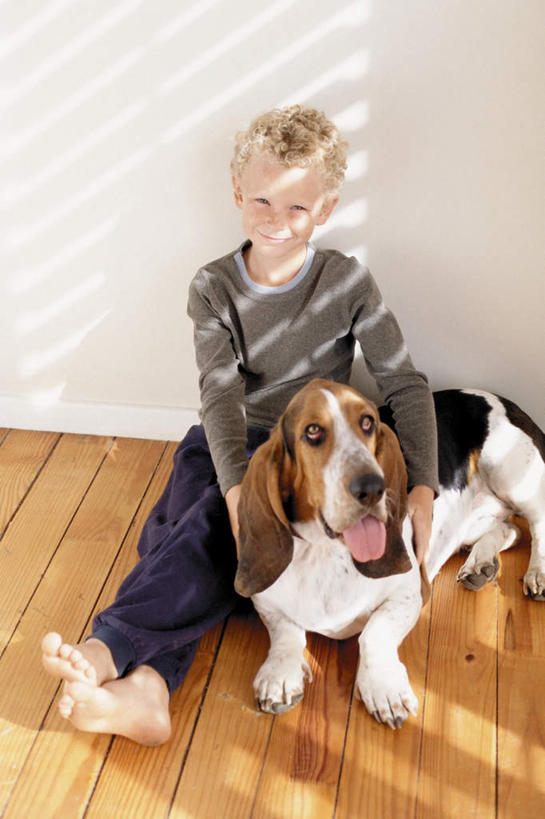 西方人,儿童,腿部,脚,脚趾,脚趾甲,腿,一个人,坐,抱,笑,微笑,竖图,俯视,室内,白天,纯洁,地板,宠物,狗,欧洲,欧洲人,仅一个男性,仅一个人,阴影,服装,朦胧,模糊,光线,影子,墙,地面,注视,休闲装,光脚,木地板,墙壁,墙面,一只,小孩,衣服,白色,动物,观察,看,仅一个小孩,休闲,赤脚,休闲服,可爱,童年,童趣,服饰,抱着,观看,察看,搂着,关注,童真,烂漫,无邪,忠诚,矮脚猎犬,天真,男孩,男人,男性,白种人,孩子,脚指甲,犬,搂,搂抱,坐着,彩图,高角度拍摄,全身,男生