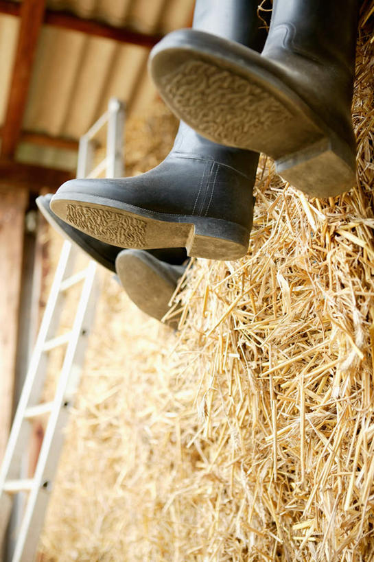 西方人,两个人,伙伴,朋友,农场,坐,竖图,室内,特写,白天,仰视,友谊,畜牧业,牧场,鞋子,欧洲,欧洲人,一双,阴影,光线,影子,马厩,干草,靴子,马场,黑色,草垛,牛仔靴,畜牧,牧业,干草垛,友情,年轻女性,女人,女性,白种人,坐着,半身,彩图,低角度拍摄