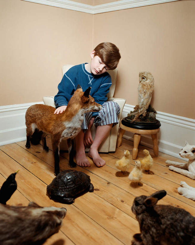 西方人,儿童,腿部,脚,脚趾,脚趾甲,腿,一个人,坐,摸,竖图,室内,白天,正面,纯洁,沙发,桌子,哺乳动物,宠物,龟,狐狸,鸡,猫,猫头鹰,鸟,野生动物,欧洲,欧洲人,仅一个男性,仅一个人,许多,抚摸,阴影,服装,光线,木制,鸟类,爬行动物,兔子,影子,墙,茶几,注视,休闲装,光脚,家禽,墙壁,墙面,小孩,衣服,黄色,动物,木制品,低头,观察,看,仅一个小孩,休闲,健康,赤脚,休闲服,可爱,童年,童趣,服饰,牲畜,观看,兔,察看,关注,坚定,猫咪,狡猾,凶猛,布艺沙发,童真,烂漫,无邪,长寿,乌龟,狡诈,残暴,天真,凶残,男孩,男人,男性,白种人,孩子,脚指甲,鸮,枭,触摸,接触,坐着,彩图,全身,男生