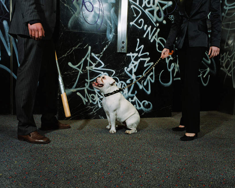 西方人,两个人,伙伴,朋友,商务人士,商务男性,商务女性,站,横图,室内,白天,侧面,抽象,衬衫,绘画,友谊,合作,团队,宠物,狗,欧洲,欧洲人,握,阴影,套装,艺术,光线,斗牛犬,棒子,彩绘,图案,影子,墙,球棒,艺术品,古典,文化,相视,墙壁,墙面,一只,白色,黑色,动物,绳子,工艺品,品味,站着,概念,面对面,可爱,战略,握着,对视,绳索,美术,高雅,牛头犬,相对,商务装,工薪阶层,忠诚,英国斗牛犬,相看,美学,联合,合谋,斗牛狗,老虎狗,英国老虎犬,图文,配合,协作,男人,男性,年轻男性,年轻女性,女人,女性,白种人,白领,上班族,犬,站立,半身,彩图,衬衣,涂鸦