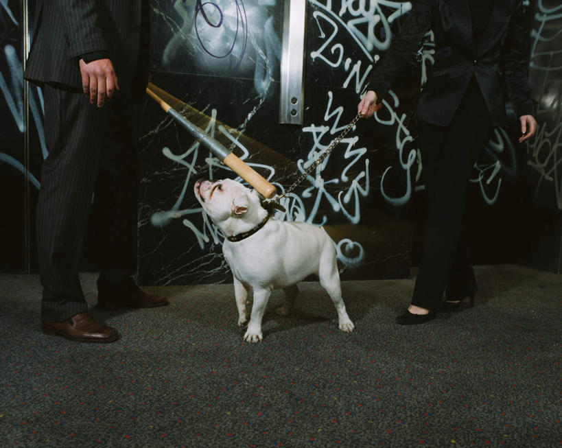 西方人,两个人,伙伴,朋友,商务人士,商务男性,商务女性,站,横图,室内,白天,侧面,抽象,衬衫,绘画,友谊,合作,团队,宠物,狗,欧洲,欧洲人,握,阴影,套装,艺术,光线,斗牛犬,棒子,彩绘,图案,影子,墙,球棒,艺术品,古典,文化,相视,墙壁,墙面,一只,白色,黑色,动物,绳子,工艺品,品味,站着,概念,面对面,可爱,战略,握着,对视,绳索,美术,高雅,牛头犬,相对,商务装,工薪阶层,忠诚,英国斗牛犬,相看,美学,联合,合谋,斗牛狗,老虎狗,英国老虎犬,图文,配合,协作,男人,男性,年轻男性,年轻女性,女人,女性,白种人,白领,上班族,犬,站立,半身,彩图,衬衣,涂鸦