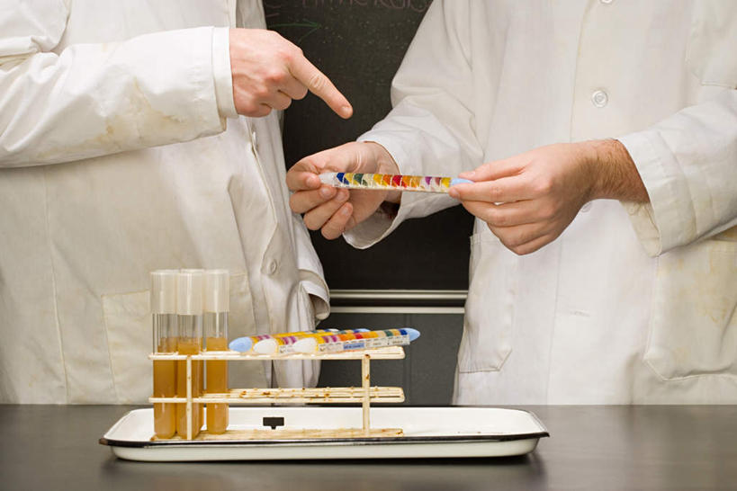 西方人,两个人,同事,学校,站,横图,室内,白天,正面,成功,合作,团队,集体,信心,实验,仪器,桌子,杯子,欧洲,欧洲人,握,指,服装,研究,透明,分析,化学,测试,试管,试管架,拿,拿着,注视,指点,休闲装,书桌,队伍,校园,架子,玻璃制品,衣服,玻璃瓶,课桌,瓶子,黑板,观察,看,站着,休闲,教室,休闲服,器皿,教学,握着,服饰,观看,察看,领导,指向,成就,关注,合伙,领袖,计量,玻璃仪器,试验耗材,实验用品,耐磨,教学黑板,男人,男性,年轻男性,白种人,玻璃杯,站立,半身,彩图