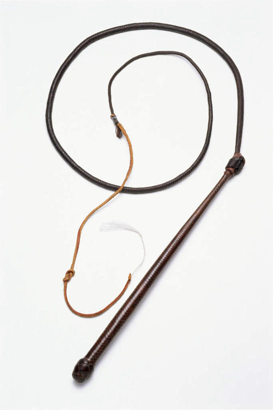 无人,竖图,俯视,室内,特写,白天,白色背景,锻炼,运动,静物,阴影,弯曲,环绕,围绕,反射,木制,棍子,影子,环抱,运动器械,木制品,绳子,健身器械,摄影,影棚,绳索,马鞭,健身器材,鞭子,萦绕,体育,彩图,高角度拍摄,影棚拍摄,健身,拍摄,运动器材