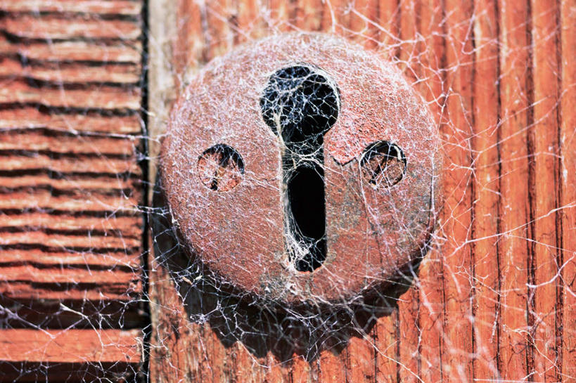 无人,横图,室外,特写,白天,正面,安全,门,阴影,反射,蜘蛛网,网,影子,墙,防护,墙壁,墙面,锁,门框,保护,保险,私密,保全,周全,安稳,安定,防盗,蛛网,捕杀,猎取,平安,彩图