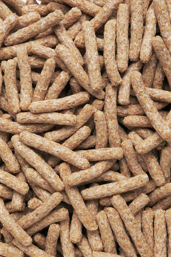 无人,竖图,俯视,室内,特写,白天,白色背景,农作物,小麦,一堆,许多,阴影,堆叠,堆积,反射,影子,谷物,摄影,麦子,影棚,堆,麦皮,麦糠,彩图,高角度拍摄,影棚拍摄,拍摄