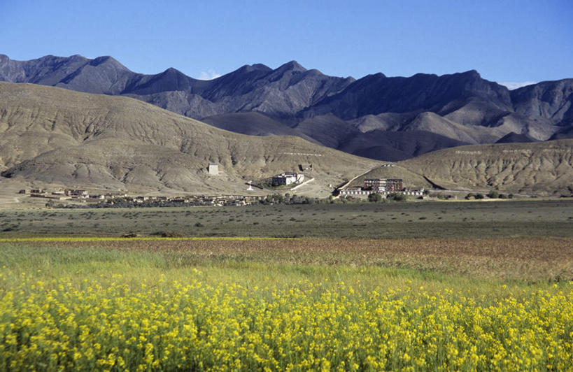 无人,家,横图,室外,白天,正面,旅游,度假,草地,草坪,石头,美景,山,山脉,植物,中国,亚洲,阴影,光线,石子,影子,房屋,屋子,景观,山峰,山峦,娱乐,楼房,西藏,住宅,草,蓝色,绿色,蓝天,天空,阳光,自然,群山,天,享受,休闲,景色,放松,晴朗,自然风光,藏,东亚,西藏自治区,日喀则,日喀则市,万里无云,中华人民共和国,西南地区,石块,岩石,晴空,晴空万里,彩图,房子