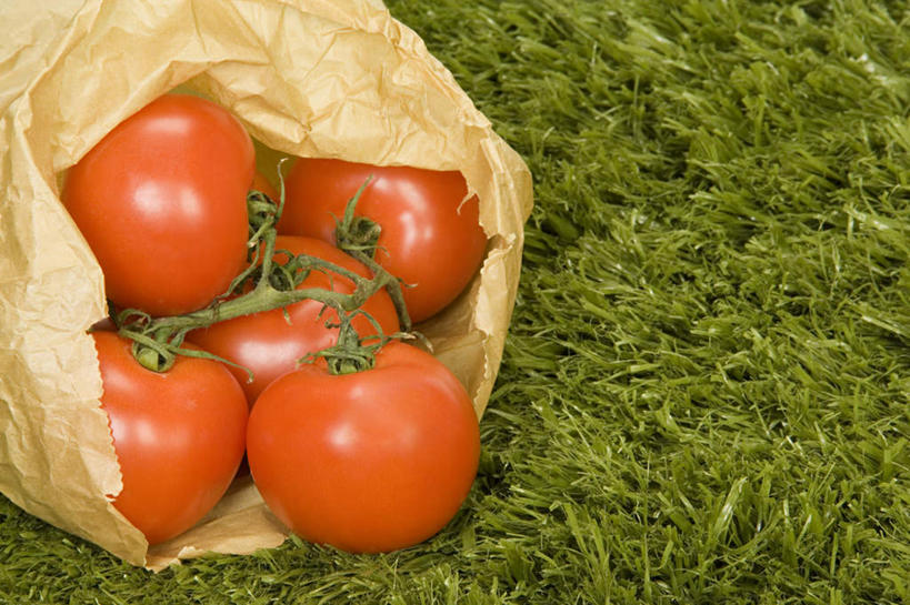 无人,横图,俯视,室外,特写,白天,草地,草坪,植物,西红柿,袋子,礼物,水果,一堆,许多,阴影,堆叠,堆积,新鲜,反射,包装袋,影子,纸袋,生食,食品,果实,草,食物,一个,绿色,礼品,有机食品,绿色食品,单个,堆,礼品袋,番茄,彩图,高角度拍摄