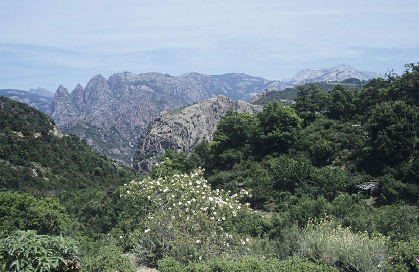 无人,横图,俯视,航拍,室外,白天,旅游,度假,美景,森林,山,山脉,树林,植物,雾,意大利,欧洲,朦胧,模糊,高大,纹路,纹理,景观,山峰,云,云朵,山峦,宏伟,云彩,娱乐,树,树木,蓝色,绿色,白云,蓝天,天空,自然,群山,天,享受,休闲,景色,放松,生长,晴朗,成长,迷雾,雄伟,鸟瞰,南欧,自然风光,多洛米蒂山,意大利共和国,肌理,大雾,晴空,彩图,高角度拍摄