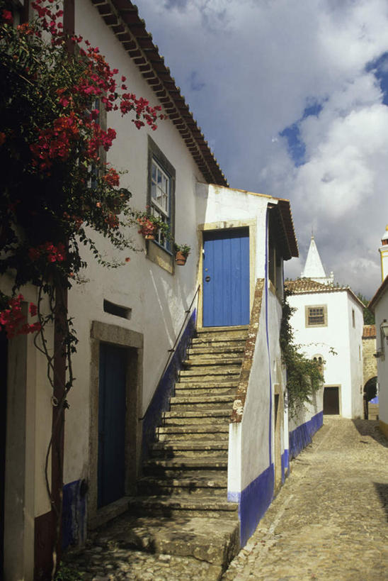 无人,竖图,室外,白天,仰视,度假,美景,楼梯,城市风光,城市,葡萄牙,欧洲,阴影,盛开,光线,影子,房屋,阶梯,屋子,景观,云,云朵,公寓,花蕾,云彩,娱乐,楼房,台阶,住宅,花,花瓣,花朵,鲜花,蓝色,白云,蓝天,天空,阳光,天,花苞,花蕊,享受,休闲,景色,放松,晴朗,南欧,葡萄牙共和国,奥比多斯,晴空,彩图,低角度拍摄,房子