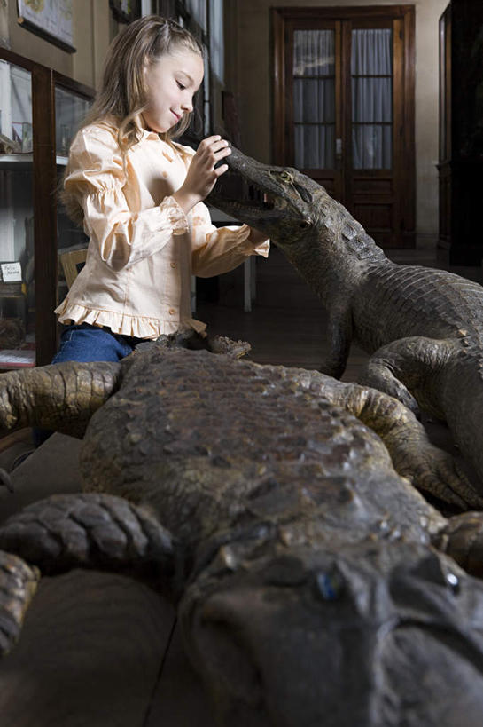 西方人,儿童,一个人,博物馆,站,摸,竖图,室内,白天,侧面,纯洁,鳄鱼,野生动物,欧洲,欧洲人,仅一个女性,仅一个人,抚摸,服装,研究,爬行动物,标本,教育,注视,休闲装,小孩,衣服,动物,观察,看,站着,仅一个小孩,休闲,休闲服,可爱,童年,童趣,服饰,观看,展览,察看,关注,欣赏,凶猛,陈列,童真,烂漫,无邪,典藏,残暴,天真,凶残,女孩,女人,女性,白种人,孩子,触摸,接触,站立,半身,彩图,女生