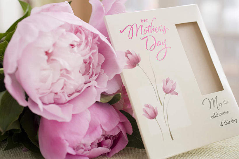 无人,横图,俯视,室内,特写,白天,叶子,母亲节,节日,朦胧,模糊,庆祝,盛开,英文,标志,文字,字符,字母,绿叶,花蕾,文化,标识,花,花瓣,花朵,鲜花,粉色,花苞,花蕊,庆典,嫩叶,纪念,英文字母,叶,叶片,彩图,高角度拍摄