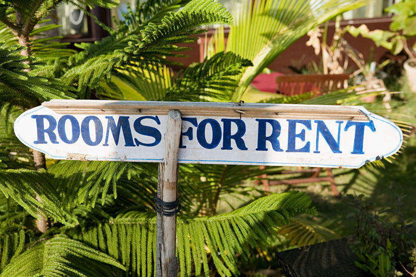 无人,横图,俯视,室外,特写,白天,旅游,度假,美景,植物,指示牌,棕榈树,叶子,印度,亚洲,一排,阴影,朦胧,模糊,整齐,反射,英文,标志,文字,影子,字符,字母,景观,绿叶,娱乐,标识,树,树木,排列,绿色,自然,享受,休闲,嫩叶,景色,放松,生长,成长,英文字母,队列,自然风光,南亚,棕榈叶,喀拉拉邦,印度共和国,喀拉拉,叶,叶片,彩图,高角度拍摄