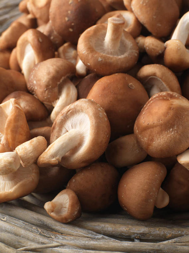 无人,交叉,竖图,俯视,室内,特写,白天,地铁,竹子,蔬菜,许多,阴影,竹制,朦胧,模糊,新鲜,编织,反射,篮子,影子,菌菇,香菇,食品,轨道交通,菌类,食物,竹篮,食用菌,摄影,有机食品,绿色食品,影棚,竹条,交织,竹制品,穿插,彩图,高角度拍摄,影棚拍摄,拍摄,地铁机动车,地下铁,轻轨