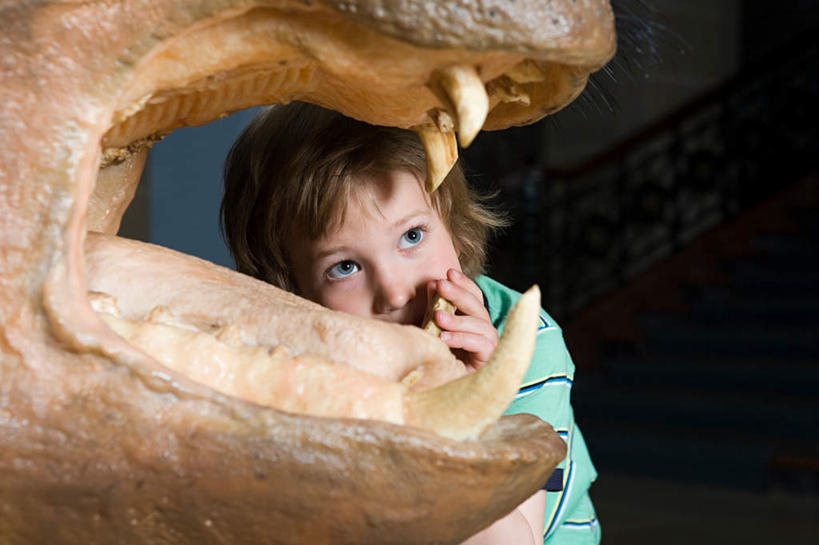 西方人,儿童,一个人,博物馆,站,摸,横图,室内,特写,白天,正面,纯洁,野生动物,欧洲,欧洲人,仅一个男性,仅一个人,抚摸,服装,研究,教育,注视,休闲装,小孩,衣服,动物,观察,看,站着,仅一个小孩,休闲,休闲服,可爱,童年,童趣,服饰,观看,展览,察看,关注,欣赏,凶猛,陈列,童真,烂漫,无邪,典藏,残暴,天真,凶残,男孩,男人,男性,白种人,孩子,犀牛,触摸,接触,站立,半身,彩图,男生