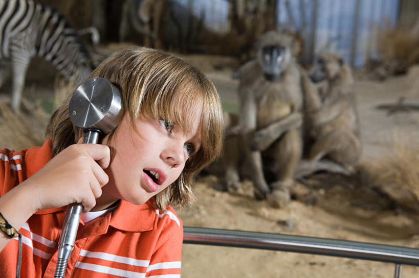 西方人,儿童,一个人,博物馆,栏杆,站,横图,室内,白天,正面,快乐,满意,幸福,纯洁,斑马,哺乳动物,猴,马,野生动物,猴子,欧洲,欧洲人,仅一个男性,仅一个人,握,服装,研究,围栏,音响,教育,音乐,拿,听,拿着,注视,休闲装,娱乐,护栏,小孩,衣服,动物,耳机,观察,看,站着,仅一个小孩,享受,休闲,休闲服,放松,可爱,童年,童趣,握着,服饰,牲畜,活泼,观看,展览,察看,舒适,享乐,关注,欣赏,陈列,童真,烂漫,无邪,典藏,天真,男孩,男人,男性,白种人,孩子,站立,半身,彩图,男生