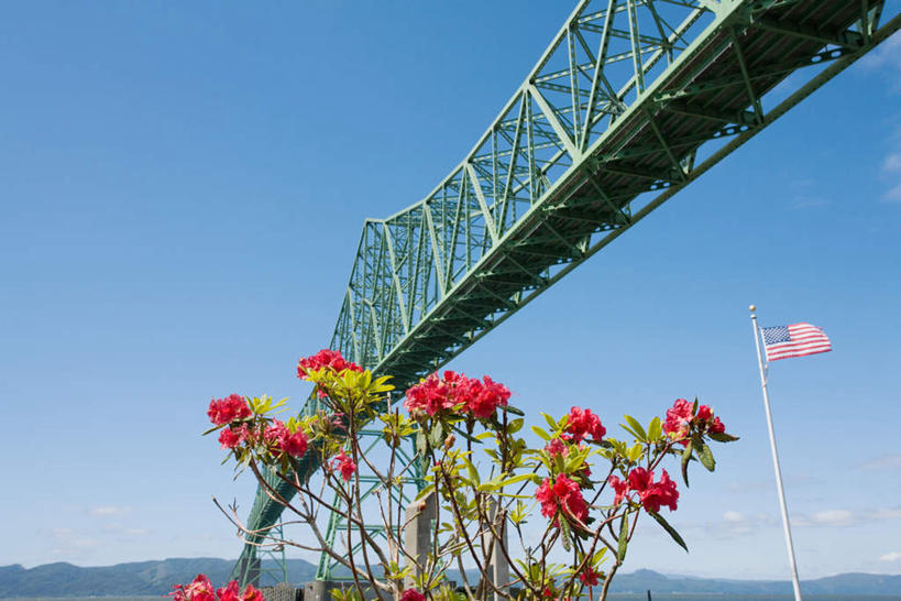 无人,横图,室外,白天,仰视,旅游,度假,山,山脉,标志建筑,大桥,地标,建筑,立交桥,桥梁,旗帜,国旗,华盛顿,美国,阴影,盛开,光线,影子,山峰,高架,斜拉桥,桥,山峦,花蕾,娱乐,建设,花,花瓣,花朵,鲜花,蓝色,蓝天,天空,阳光,群山,天,花苞,花蕊,享受,休闲,旅游胜地,放松,晴朗,北美,北美洲,美洲,俄勒冈州,华盛顿州,万里无云,俄勒冈,常绿之州,常青州,北亚美利加洲,亚美利加洲,落日之州,水獭之州,海狸州,阿斯托利亚.梅格勒大桥,旗,晴空,晴空万里,彩图,低角度拍摄