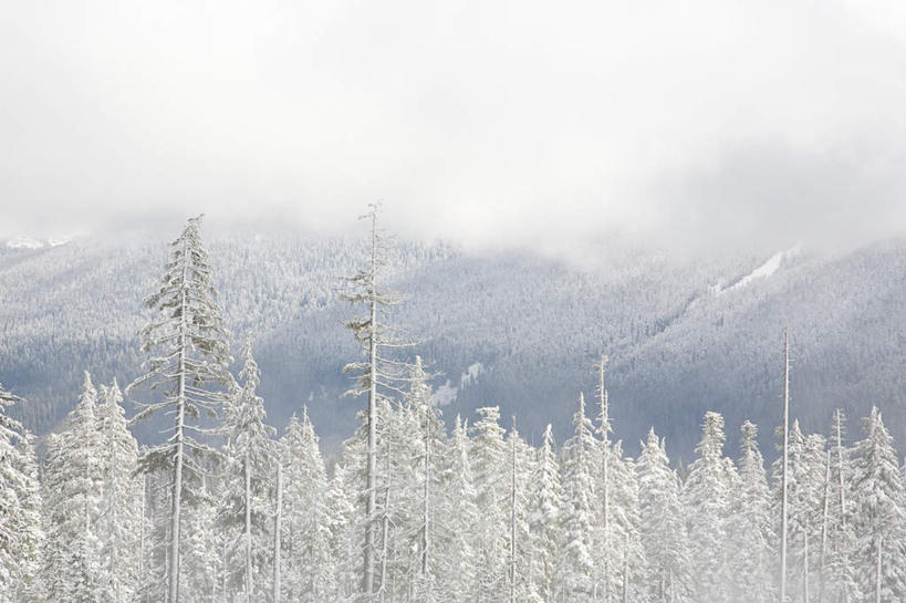无人,公园,横图,室外,白天,正面,旅游,度假,美景,山,树林,雪,雪山,植物,雾,大雪,美国,朦胧,模糊,冰,积雪,景观,山峰,雪景,冬季,冬天,山峦,娱乐,树,树木,绿色,自然,享受,休闲,景色,放松,寒冷,生长,成长,迷雾,冰冷,北美,北美洲,国家公园,自然风光,美洲,俄勒冈州,俄勒冈,北亚美利加洲,亚美利加洲,严寒,冰凉,酷寒,凛冽,凛凛,极冷,落日之州,水獭之州,海狸州,国家森林公园,胡德山,胡德山国家森林公园,大雾,彩图