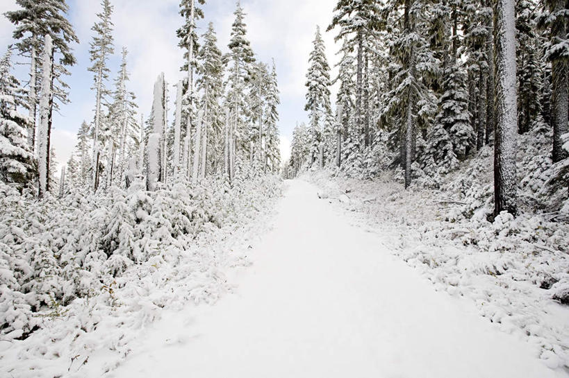 无人,公园,横图,室外,白天,正面,旅游,度假,美景,山,树林,雪,雪山,植物,雾,大雪,道路,路,美国,阴影,朦胧,模糊,光线,影子,冰,积雪,景观,山峰,雪景,云,云朵,冬季,冬天,小路,交通,山峦,云彩,娱乐,树,树木,蓝色,绿色,白云,蓝天,天空,阳光,自然,天,享受,休闲,景色,放松,寒冷,生长,晴朗,成长,迷雾,冰冷,北美,北美洲,国家公园,自然风光,美洲,俄勒冈州,俄勒冈,北亚美利加洲,亚美利加洲,严寒,冰凉,酷寒,凛冽,凛凛,极冷,落日之州,水獭之州,海狸州,国家森林公园,胡德山,胡德山国家森林公园,大雾,晴空,彩图