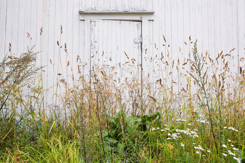 无人,家,木屋,横图,室外,白天,正面,旅游,度假,草地,草坪,花海,花圃,美景,植物,门,叶子,挪威,欧洲,盛开,墙,景观,花蕾,娱乐,墙壁,墙面,住宅,草,花,花瓣,花朵,花卉,鲜花,绿色,自然,门框,花丛,花束,花田,花苞,花蕊,享受,休闲,景色,放松,斯堪的纳维亚,自然风光,北欧,斯堪的那维亚,斯堪的那维亚半岛,斯堪的纳维亚半岛,挪威王国,彩图,茅舍,茅屋,棚屋,小木屋,小屋