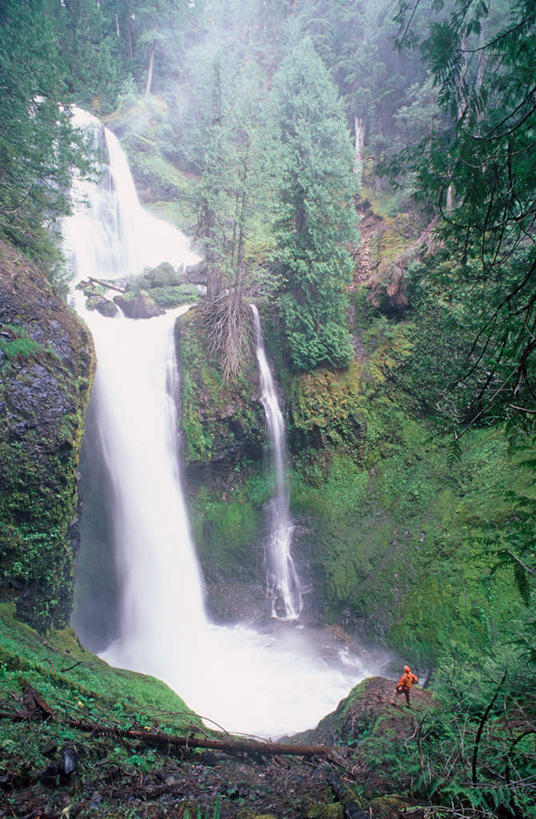 无人,竖图,室外,白天,仰视,旅游,度假,美景,瀑布,山,山脉,树林,水,植物,华盛顿,美国,飞溅,朦胧,模糊,溅,液体,景观,山峰,水滴,悬崖,山峦,娱乐,水珠,树,树木,绿色,自然,群山,享受,休闲,景色,放松,生长,成长,北美,北美洲,喷洒,自然风光,美洲,华盛顿州,常绿之州,常青州,北亚美利加洲,亚美利加洲,喀斯喀特山脉,北喀斯喀特山国家公园,北卡斯卡德山国家公园,北喀斯开国家公园,北瀑布国家公园,跌水,彩图,低角度拍摄