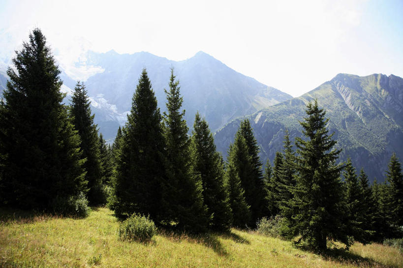 无人,横图,室外,白天,正面,旅游,度假,草地,草坪,石头,美景,山,山脉,植物,法国,欧洲,阿尔卑斯山,阴影,光线,石子,影子,景观,山顶,山峰,云,云朵,山峦,云彩,娱乐,草,树,树木,蓝色,绿色,白云,蓝天,天空,阳光,自然,群山,天,享受,休闲,景色,放松,生长,晴朗,成长,自然风光,勃朗峰,法兰西共和国,法兰西第五共和国,颠峰,极峰,石块,岩石,晴空,彩图