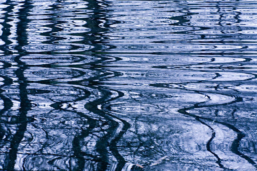 无人,横图,室外,白天,正面,旅游,度假,湖,湖泊,美景,水,植物,阴影,波纹,光线,影子,湖面,景观,水流,水面,枝条,涟漪,娱乐,树,树木,树枝,倒影,水纹,阳光,自然,波浪,湖水,享受,休闲,景色,放松,倒映,自然风光,水晕,反照,虬枝,枝杈,彩图