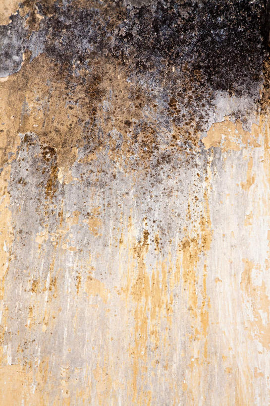 无人,竖图,室外,特写,白天,正面,破旧,陈旧,粗糙,纹路,纹理,墙,破坏,破损,墙壁,墙面,风化,损坏,毛糙,肌理,彩图,粗拙