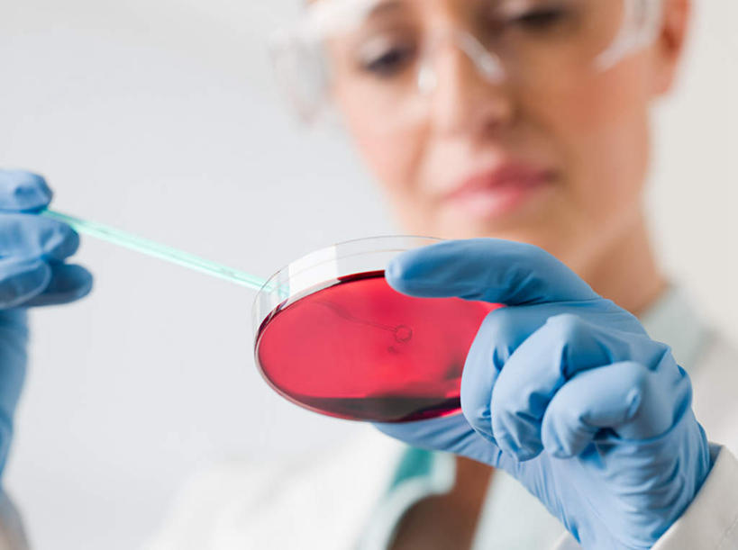 西方人,手,一个人,医生,站,横图,室内,特写,白天,白色背景,正面,工作服,制服,安全,实验,仪器,欧洲,欧洲人,双手,仅一个女性,仅一个人,一副,握,阴影,朦胧,模糊,研究,反射,分析,化学,测试,滴管,培养皿,眼镜,液体,影子,防护,注视,两个,红色,蓝色,手套,观察,看,站着,仅一个中年女性,医护人员,医疗人员,手部,橡胶,器皿,生物,握着,观看,护目镜,保护,察看,关注,保险,橡胶手套,橡胶制品,皮氏培养皿,试验耗材,实验用品,化学器材,吸液管,医用手套,保全,周全,安稳,安定,安全防护眼镜,移液管,工作制服,平安,女人,女性,中年女性,白种人,大夫,站立,半身,彩图,工作套服,防护眼镜