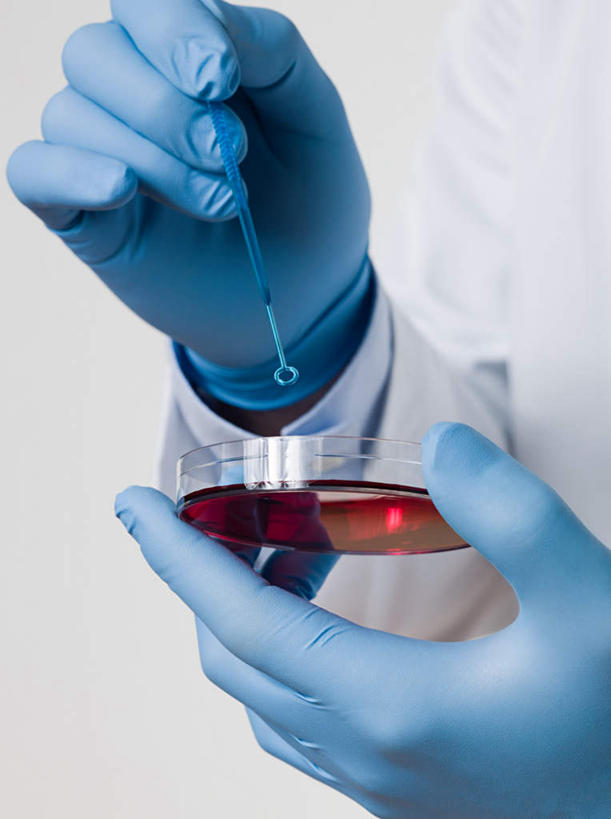 西方人,手,一个人,医生,竖图,室内,特写,白天,白色背景,正面,工作服,制服,实验,仪器,欧洲,欧洲人,双手,仅一个男性,仅一个人,仅一个中年男性,研究,透明,分析,化学,测试,滴管,培养皿,液体,墙,墙壁,墙面,玻璃制品,两个,红色,蓝色,白色,手套,医护人员,医疗人员,手部,橡胶,器皿,摄影,影棚,橡胶手套,计量,橡胶制品,皮氏培养皿,玻璃仪器,试验耗材,实验用品,吸液管,医用手套,移液管,工作制服,男人,男性,中年男性,白种人,大夫,半身,彩图,影棚拍摄,工作套服,拍摄