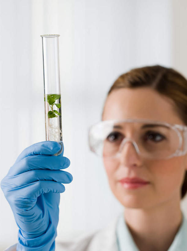 西方人,脸,头,脸颊,手,医生,医院,站,竖图,室内,特写,白天,正面,工作服,制服,安全,实验,仪器,杯子,叶子,欧洲,欧洲人,一副,朦胧,模糊,研究,透明,分析,化学,测试,试管,眼镜,墙,绿叶,防护,注视,墙壁,墙面,玻璃制品,一个,白色,玻璃瓶,瓶子,手套,观察,看,站着,医护人员,医疗人员,手部,嫩叶,橡胶,器皿,单个,观看,护目镜,保护,单手,察看,关注,保险,橡胶手套,计量,橡胶制品,医疗机构,玻璃仪器,试验耗材,实验用品,医用手套,保全,周全,安稳,安定,安全防护眼镜,工作制服,平安,白种人,头部,脸部,脸蛋,面部,大夫,叶,叶片,玻璃杯,站立,半身,彩图,工作套服,病院,诊所,防护眼镜