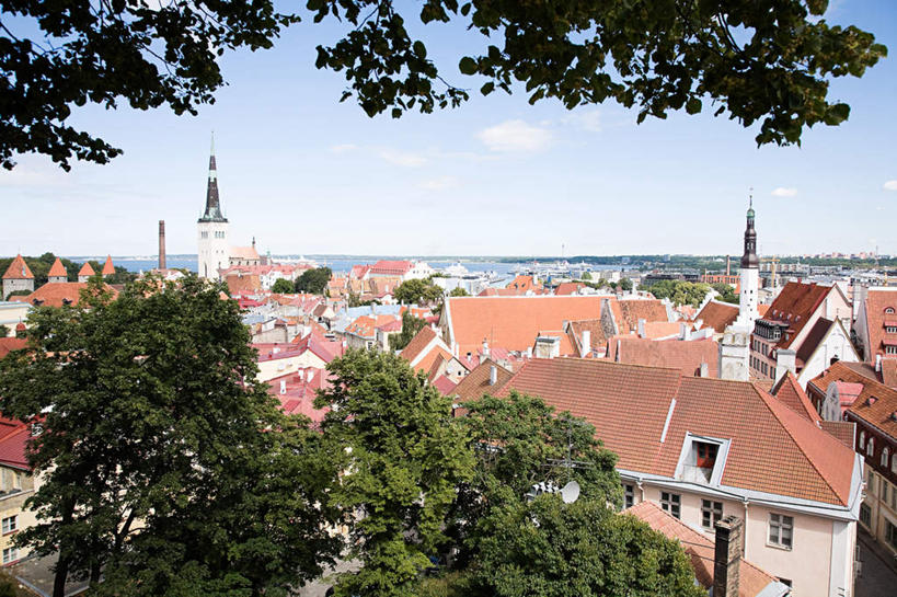 无人,家,横图,俯视,室外,白天,度假,美景,植物,城市风光,城市,欧洲,爱沙尼亚,房屋,屋子,地平线,景观,云,云朵,公寓,辽阔,地面,首都,云彩,娱乐,洋房,楼房,住宅,树,树木,蓝色,绿色,白云,蓝天,天空,自然,天,享受,休闲,广阔,景色,放松,生长,晴朗,成长,一望无际,延伸,东欧,天地相交,爱沙尼亚共和国,塔林,无边无际,一马平川,晴空,彩图,高角度拍摄,房子