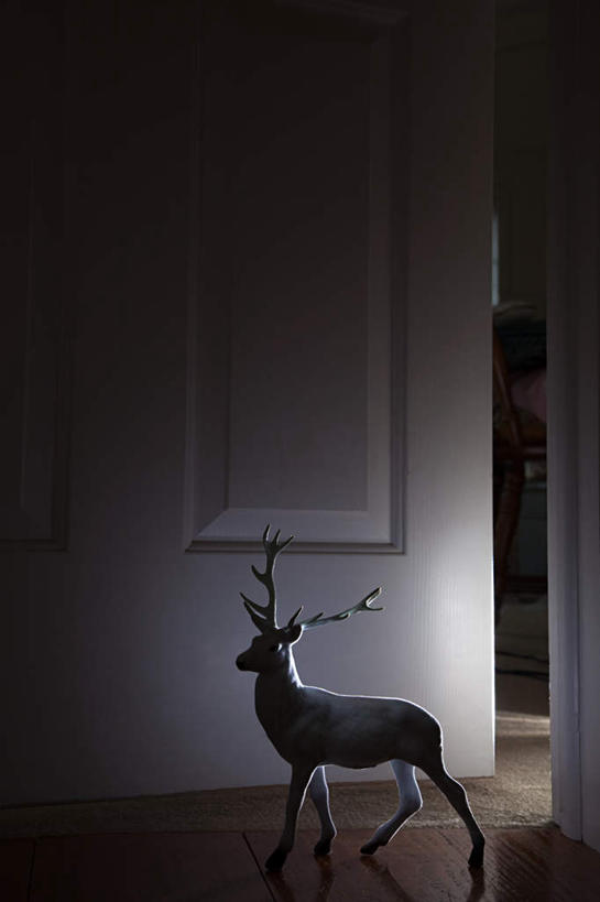 无人,站,竖图,室内,特写,白天,侧面,幸福,地板,门,哺乳动物,鹿,野生动物,静物,雕塑,圣诞节,阴影,节日,庆祝,艺术,装饰,光线,雕刻,雕像,影子,灯光,青色,地面,文化,木地板,动物,工艺品,门框,站着,庆典,可爱,活泼,纪念,美术,吉祥,主题,陈列,功能,美学,进取,角鹿,驯鹿,站立,彩图