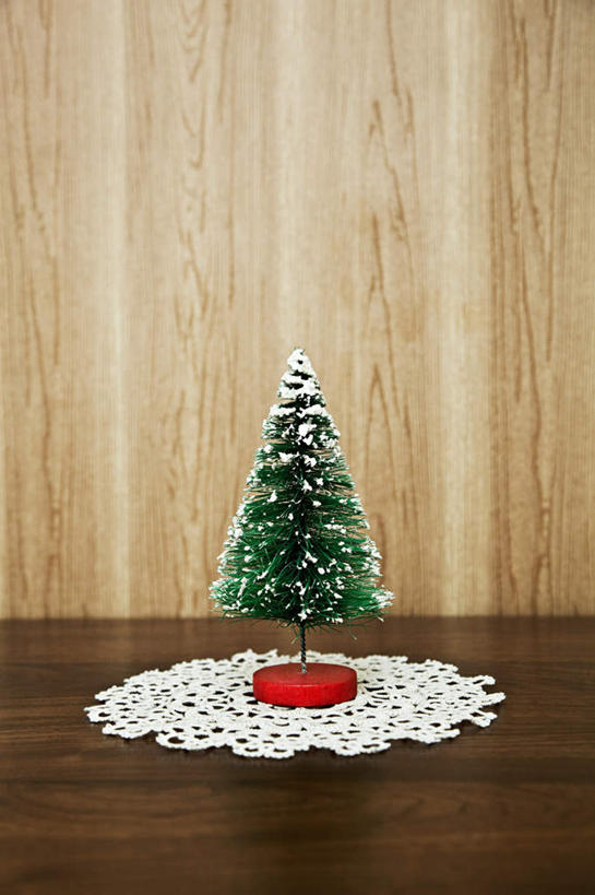 无人,竖图,室内,特写,白天,正面,植物,地板,静物,圣诞节,节日,庆祝,装饰,圣诞树,地面,文化,木地板,树,树木,绿色,自然,庆典,生长,成长,纪念,华丽,修饰,点缀,衬托,美观,雅致,雅观,彩图