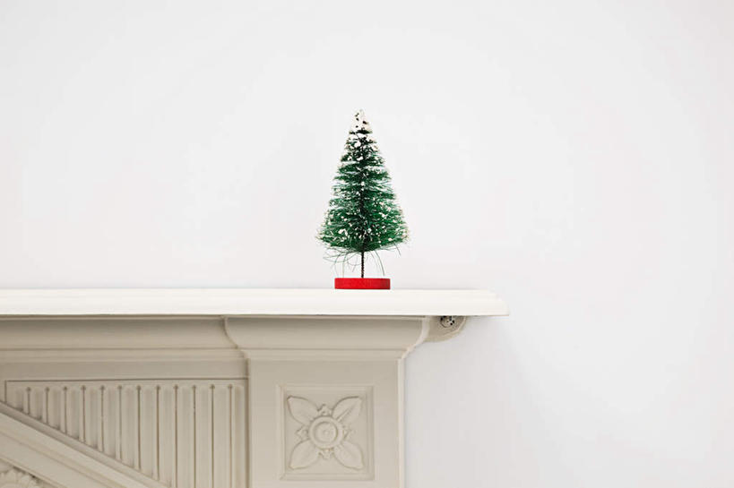 无人,横图,室内,特写,白天,正面,石头,植物,壁炉,静物,圣诞节,节日,庆祝,装饰,石子,墙,圣诞树,文化,墙壁,墙面,树,树木,绿色,自然,庆典,生长,成长,纪念,华丽,修饰,点缀,衬托,美观,雅致,雅观,石块,彩图