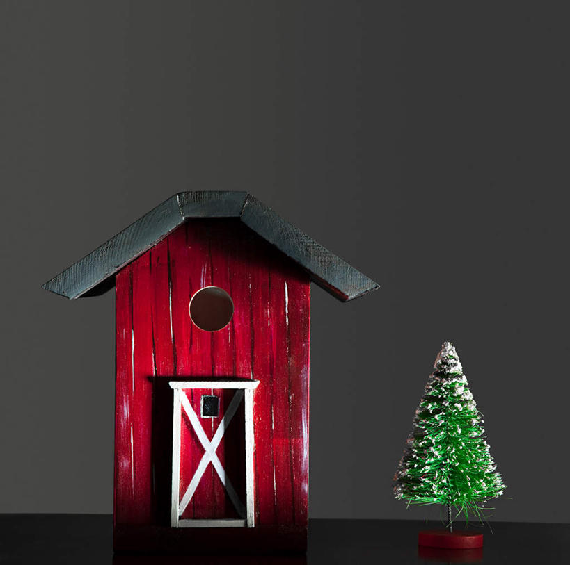 无人,家,木屋,横图,室内,特写,白天,正面,植物,静物,圣诞节,节日,庆祝,装饰,圣诞树,文化,住宅,树,树木,绿色,自然,庆典,生长,成长,纪念,华丽,修饰,点缀,衬托,美观,雅致,雅观,彩图,茅舍,茅屋,棚屋,小木屋,小屋