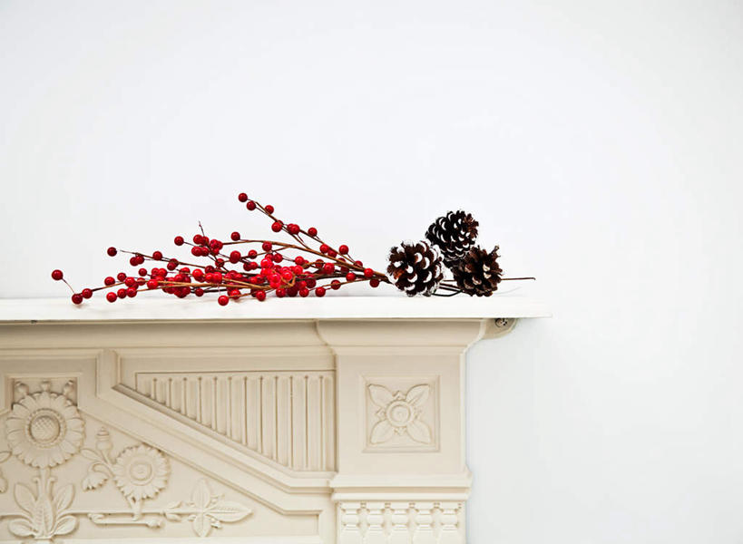 无人,横图,室内,特写,白天,正面,石头,壁炉,浆果,静物,圣诞节,节日,庆祝,装饰,石子,墙,坚果,果实,松果,文化,墙壁,墙面,干果,庆典,纪念,华丽,修饰,点缀,松塔,衬托,美观,雅致,雅观,石块,彩图