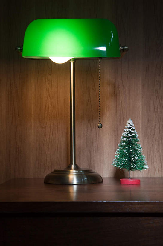 无人,竖图,室内,特写,白天,正面,植物,台灯,桌面,桌子,静物,照明,圣诞节,阴影,节日,庆祝,装饰,光线,木制,影子,灯光,圣诞树,文化,灯,树,树木,绿色,自然,木制品,灯具,庆典,生长,成长,纪念,华丽,修饰,照亮,点缀,照明设备,衬托,美观,雅致,雅观,彩图