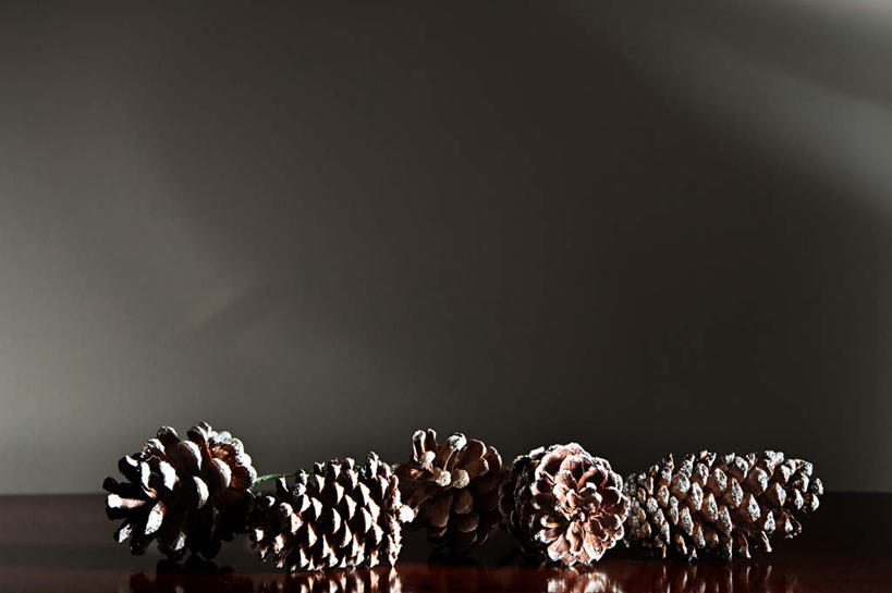 无人,横图,室内,特写,白天,正面,桌面,桌子,静物,圣诞节,五个,许多,节日,庆祝,装饰,木制,坚果,果实,松果,文化,木制品,干果,庆典,纪念,华丽,修饰,点缀,松塔,衬托,美观,雅致,雅观,彩图