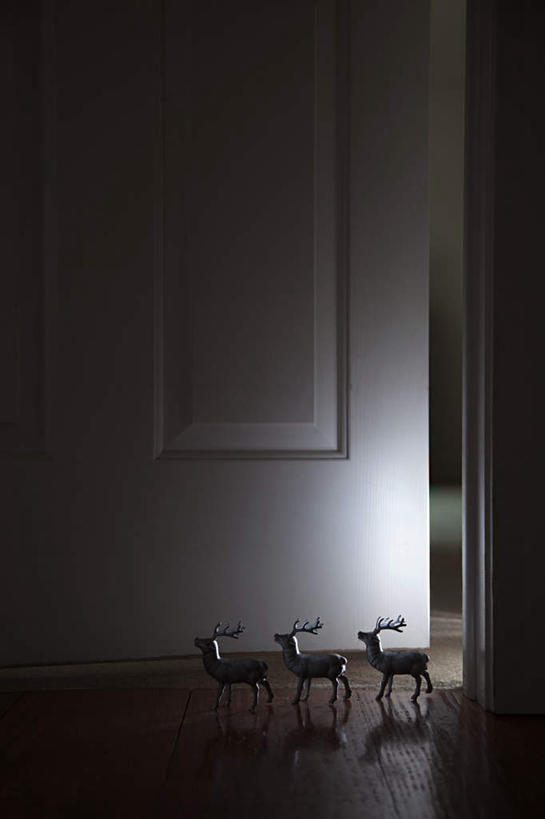 无人,竖图,室内,特写,白天,侧面,幸福,地板,门,哺乳动物,鹿,野生动物,静物,雕塑,圣诞节,三只,一排,阴影,节日,庆祝,艺术,整齐,装饰,光线,雕刻,雕像,影子,灯光,地面,文化,木地板,排列,动物,工艺品,门框,庆典,可爱,活泼,纪念,华丽,修饰,美术,吉祥,点缀,队列,主题,陈列,功能,美学,衬托,美观,雅致,雅观,进取,角鹿,驯鹿,彩图,全身