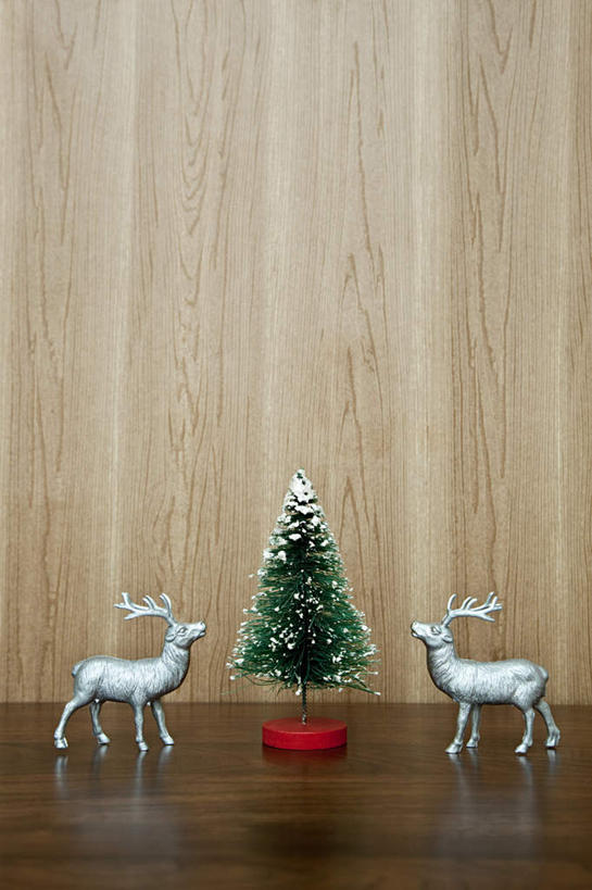 无人,站,竖图,室内,特写,白天,侧面,幸福,植物,桌面,桌子,哺乳动物,鹿,野生动物,静物,雕塑,圣诞节,节日,庆祝,艺术,装饰,木制,雕刻,雕像,圣诞树,文化,树,树木,绿色,自然,动物,木制品,工艺品,站着,两只,庆典,可爱,活泼,生长,成长,纪念,华丽,修饰,美术,吉祥,点缀,主题,陈列,功能,美学,衬托,美观,雅致,雅观,进取,角鹿,驯鹿,站立,彩图,全身
