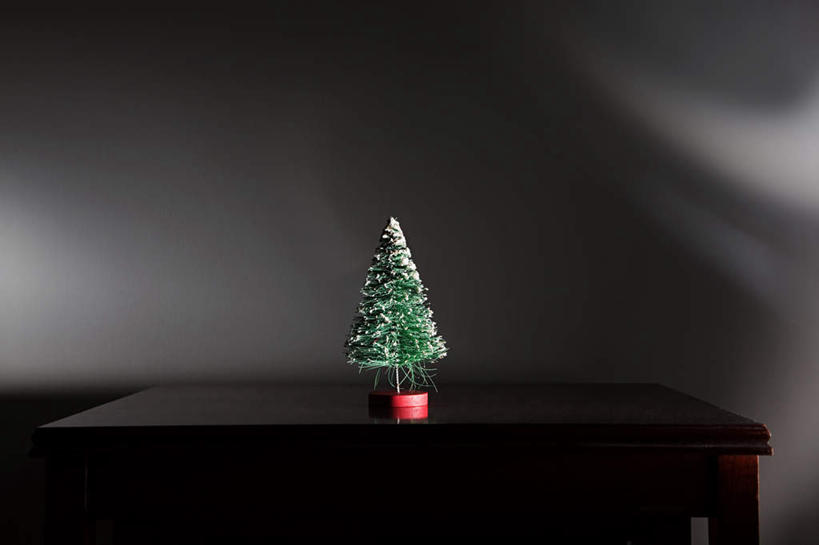 无人,横图,室内,特写,白天,正面,植物,桌面,桌子,静物,圣诞节,一棵,阴影,节日,庆祝,装饰,反射,木制,影子,圣诞树,文化,树,树木,绿色,自然,木制品,庆典,生长,成长,纪念,华丽,修饰,点缀,衬托,美观,雅致,雅观,彩图