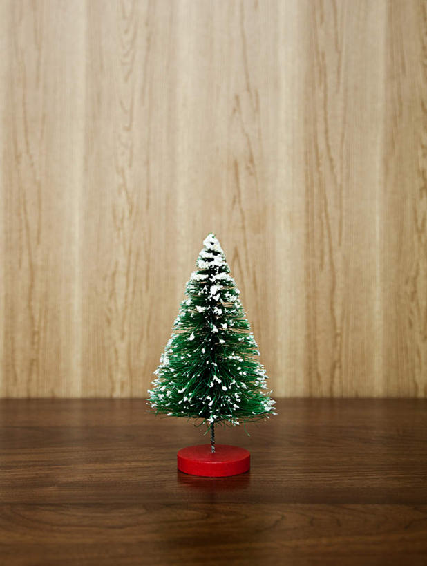 无人,竖图,室内,特写,白天,正面,植物,桌面,桌子,静物,圣诞节,一棵,节日,庆祝,装饰,木制,圣诞树,文化,树,树木,绿色,自然,木制品,庆典,生长,成长,纪念,华丽,修饰,点缀,衬托,美观,雅致,雅观,彩图